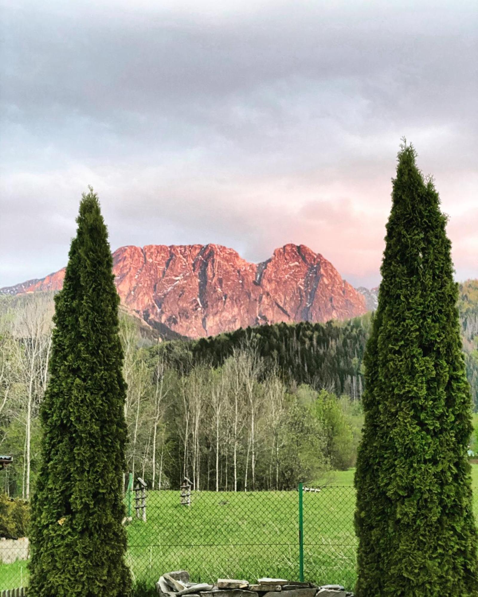 Zolta Turnia Apartment Zakopane Bagian luar foto